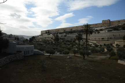 Temple Mount as seen from Church of All Nations